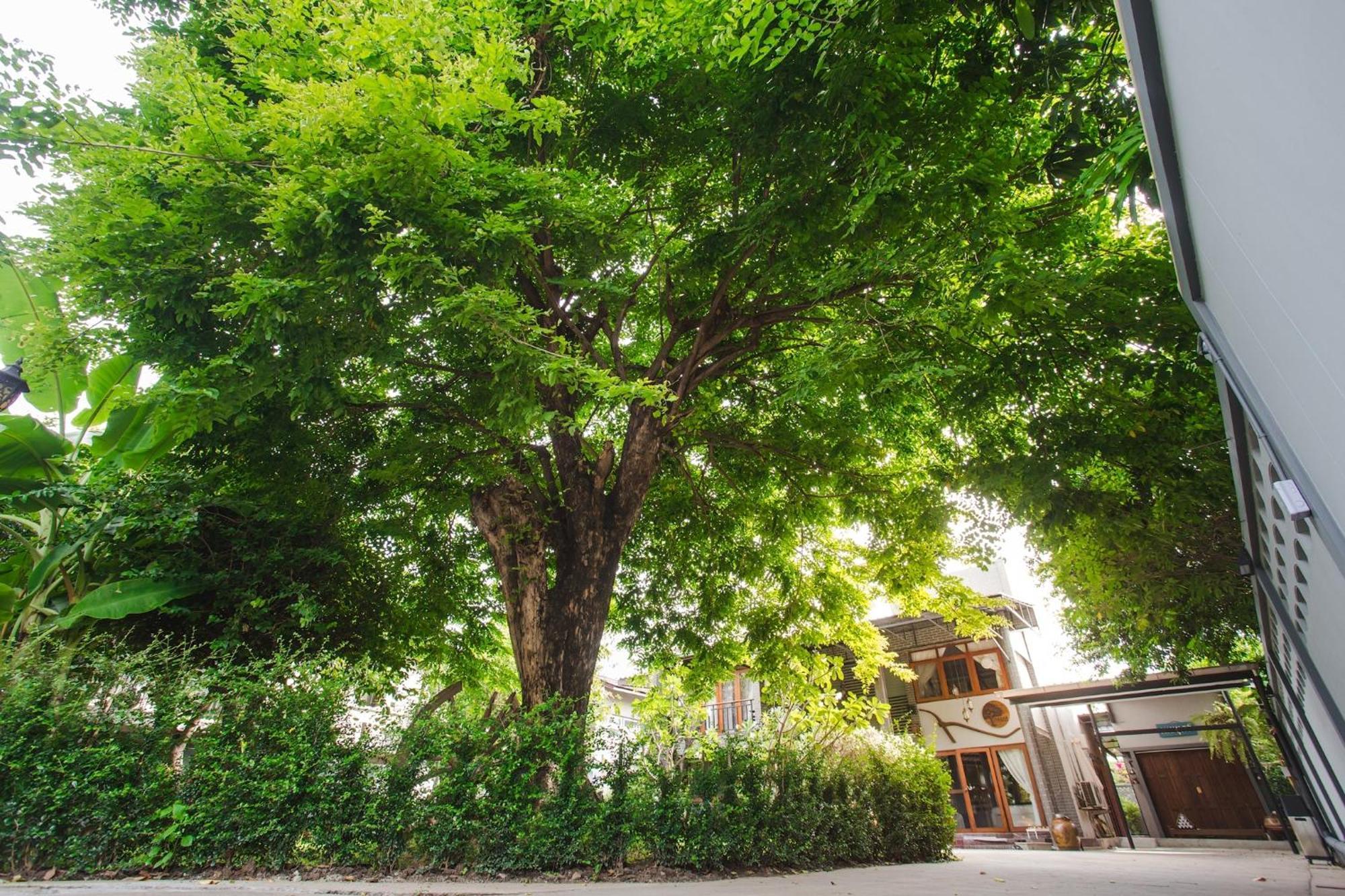 Couette-café Narra House Sukhumvit58 3*